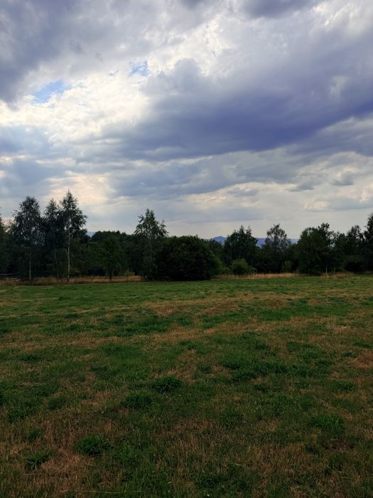 Teren de vânzare Dealu Negru-judetul Cluj