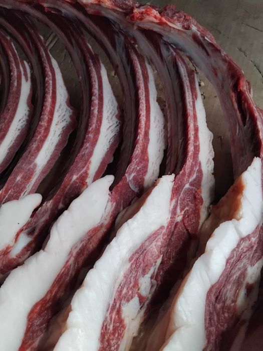 Продам мясо конина по частям