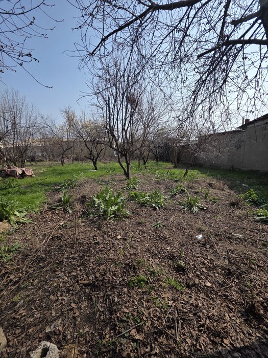 Кибрай тумани Қипчоқ маҳалласида 7 сотихли ер участкаси сотилади.