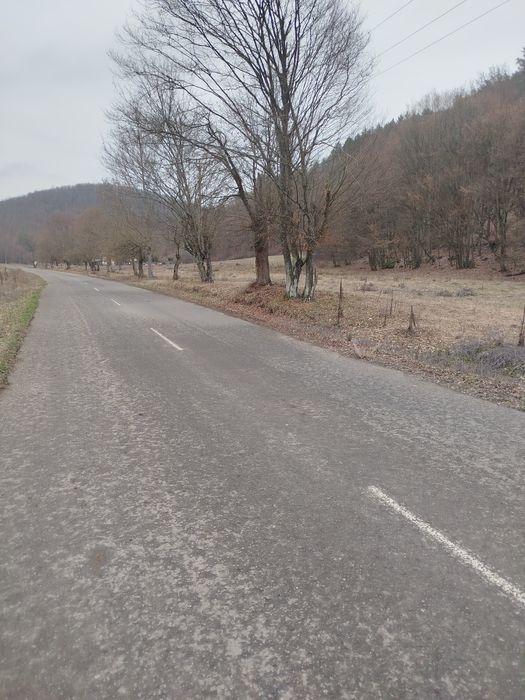 Loc pentru casa de vacanta