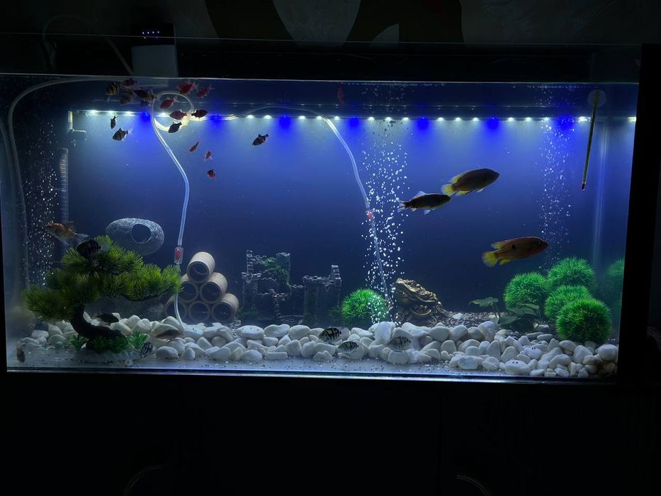 Продам аквариум 250 литров