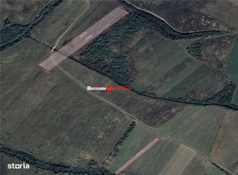 Teren arabil de vanzare – 2,34 ha (23.400 mp) – Husasau de Tinca-BH