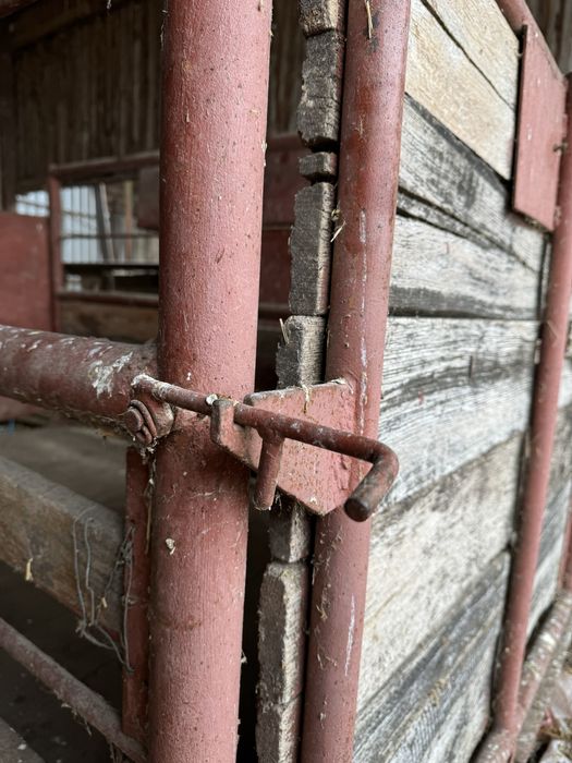 Cântar pentru animale