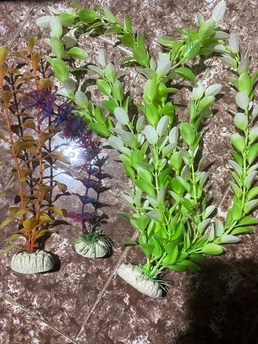 Vând  plante art+ magneți curățat geamu+pompa manuala. ri + lopatica p