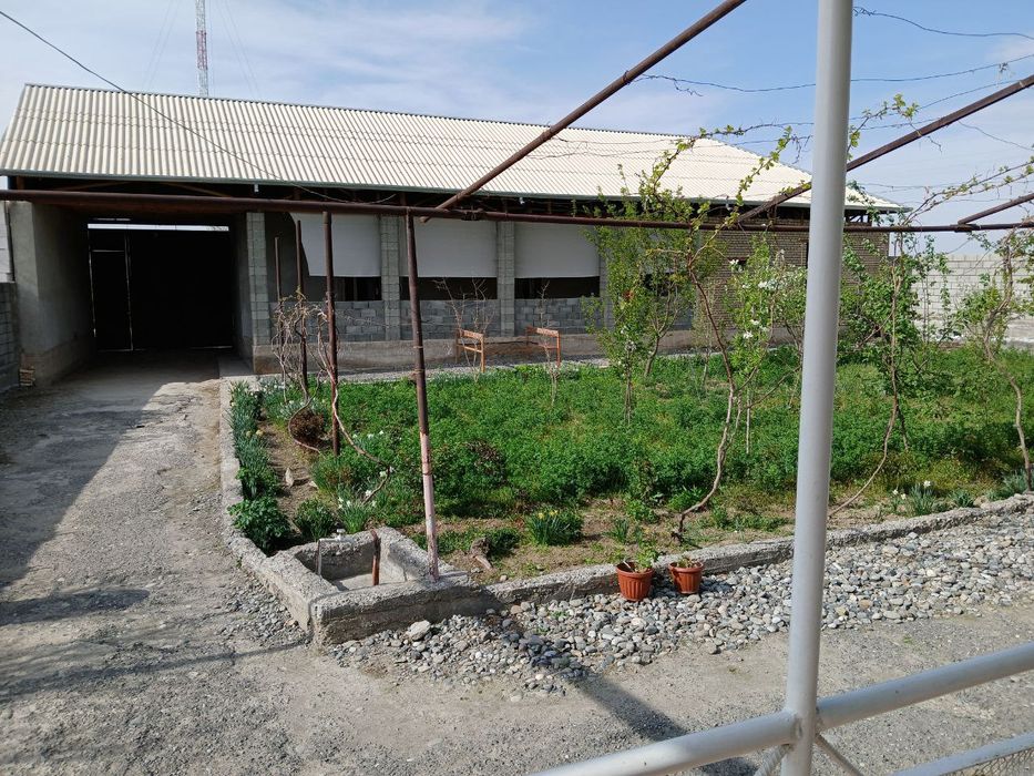 Уй сотилади, ховли сотилади