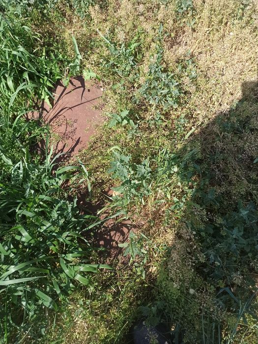 Продам ДТ-75 бульдозер