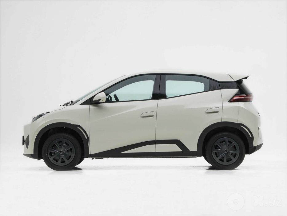 Byd seagull 2026