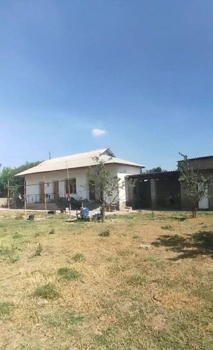Продаётся Дача своя Таш область Аккурган рядом с рекой сирдарья 6-сот