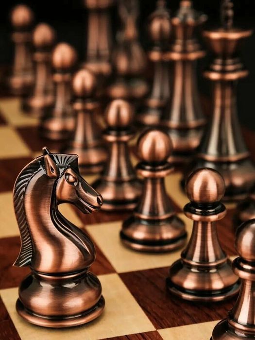 Сувенирные профессиональные шахматы в подарочном кейсе для хранения 52