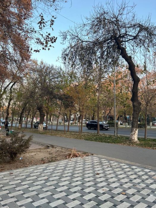 Сдаётся в аренду нежилое помещение