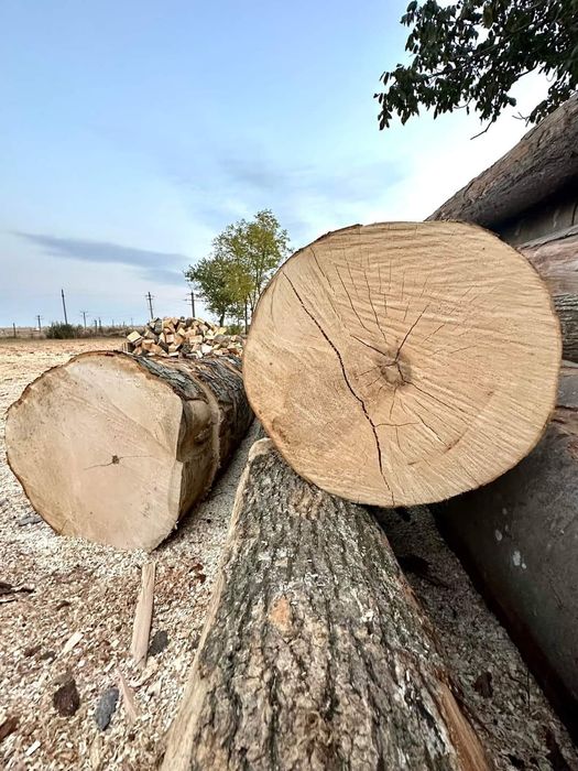 Lemn foc esenta tare / cantar electronic