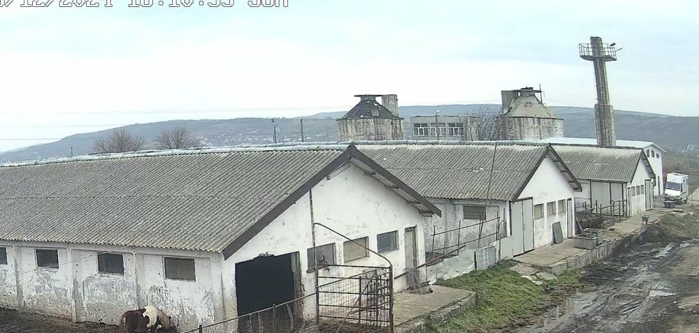 Vand ferma zootehnica cu sau fara utilaje