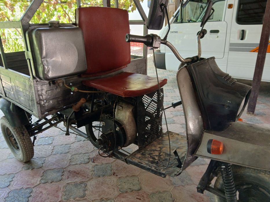 Муравей в хорошем состоянии