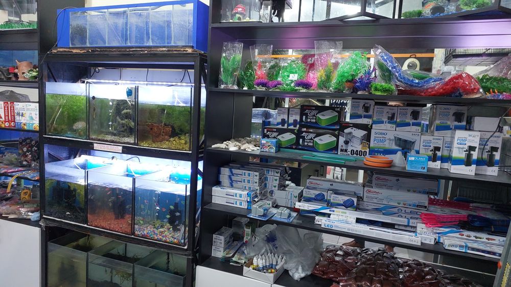 Аквариумы. Аквариумные рыбки любых вид. Аксессуары для аквариума..