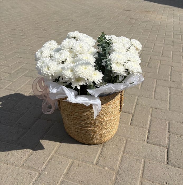 цветы хризантемы свежие