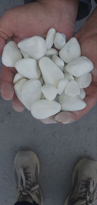 Галка Камен для ландшафтни дезайн