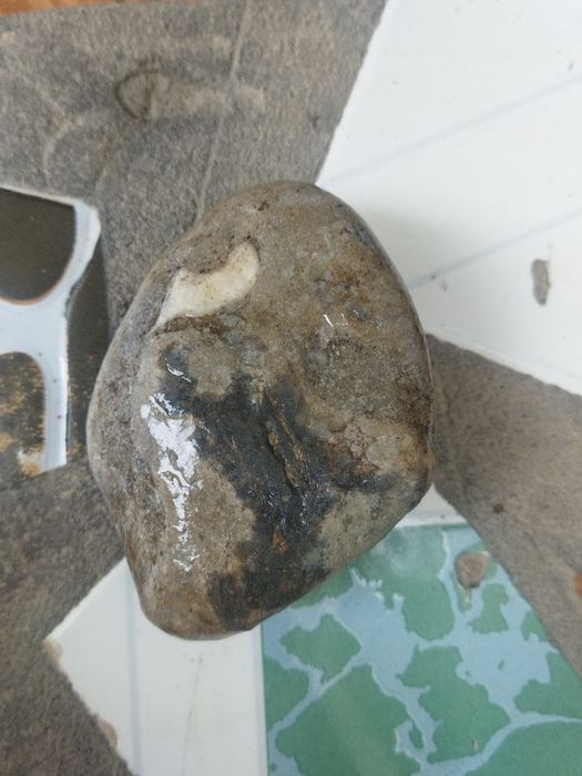 Теңіз кірпісінің қазбасы (ежелгі тас)