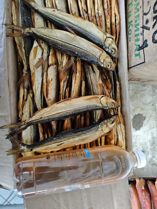 Рипус горячего копчения оптом