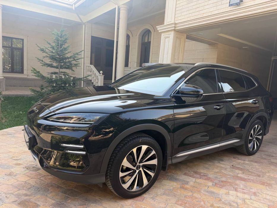 BYD chempion 2024