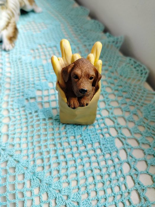 Lot 7 căței 50 lei