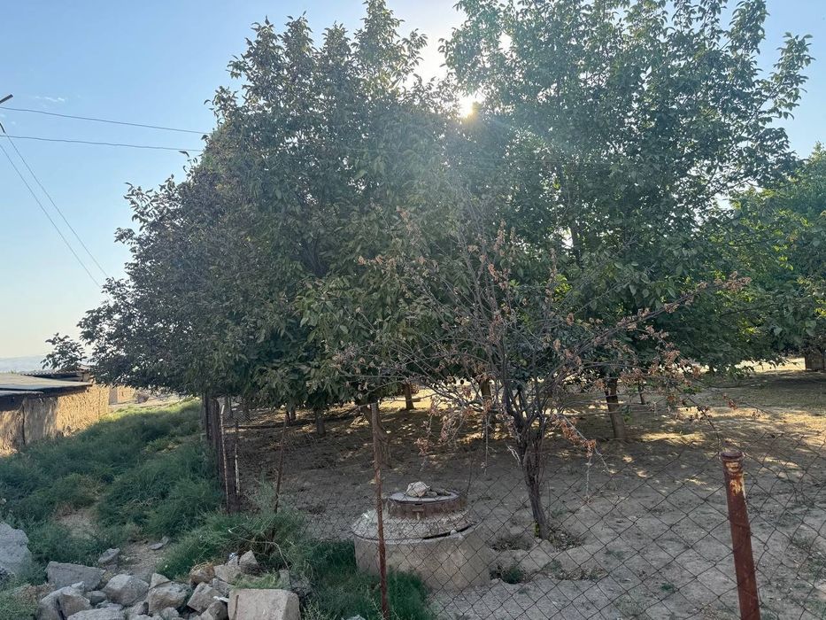 Участка сотилади, 10сотик