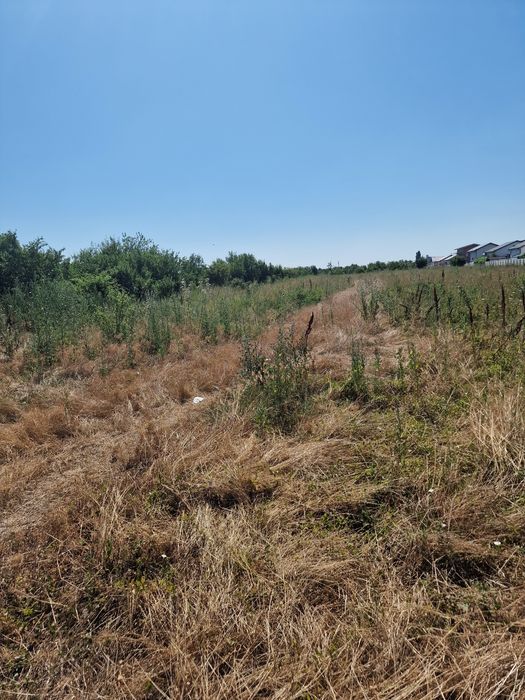 De vanzare Teren Magurele