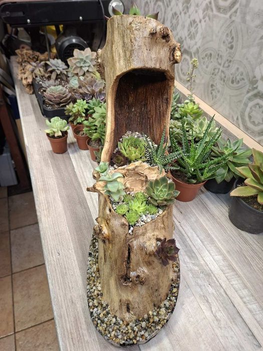 Мини градинка за вашият дом и офис.