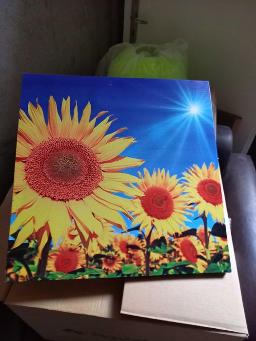 Красиви и стилни картини два броя