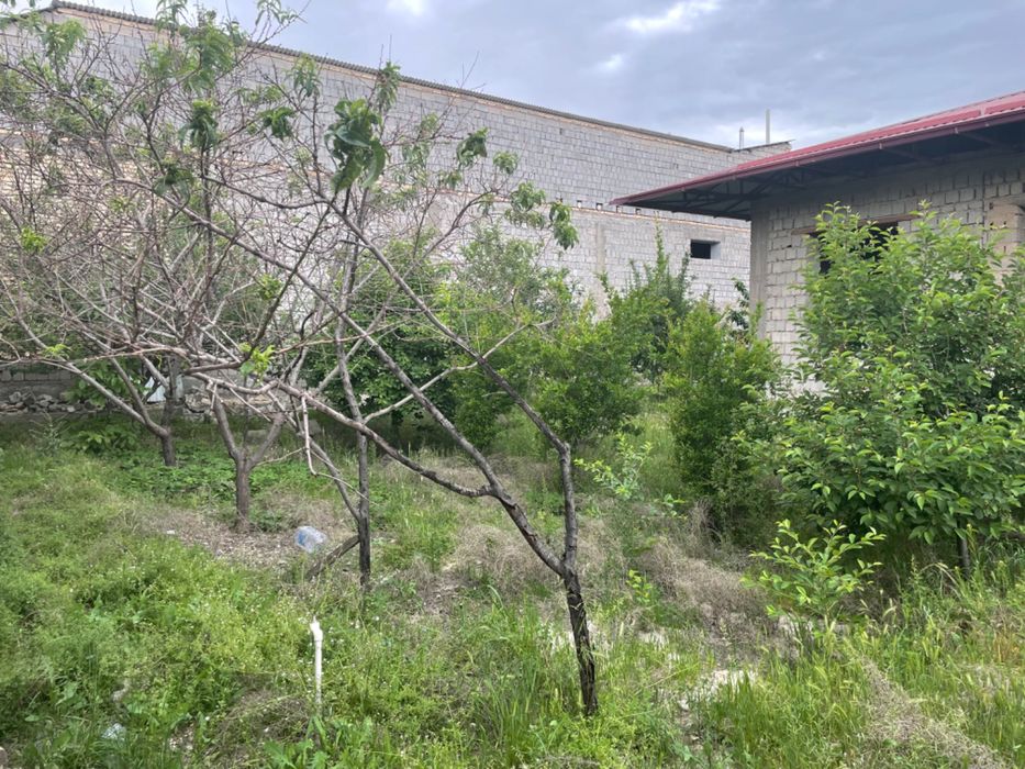 Участок 10 соток