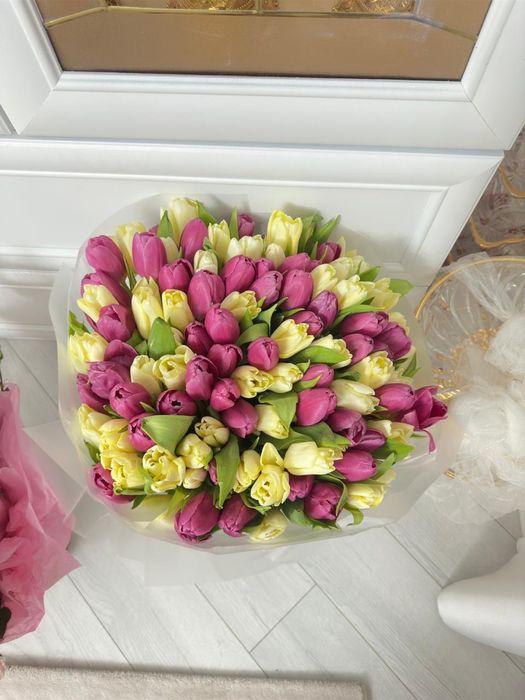 Свежие тюлпаны, 101 штук