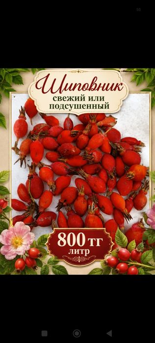Продам шиповник свежий или подсушенный, цена 800 тг за  литр