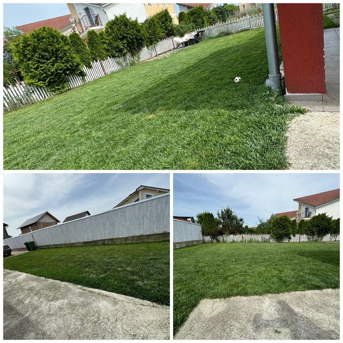 Amenajări spatii verzi, întreținere