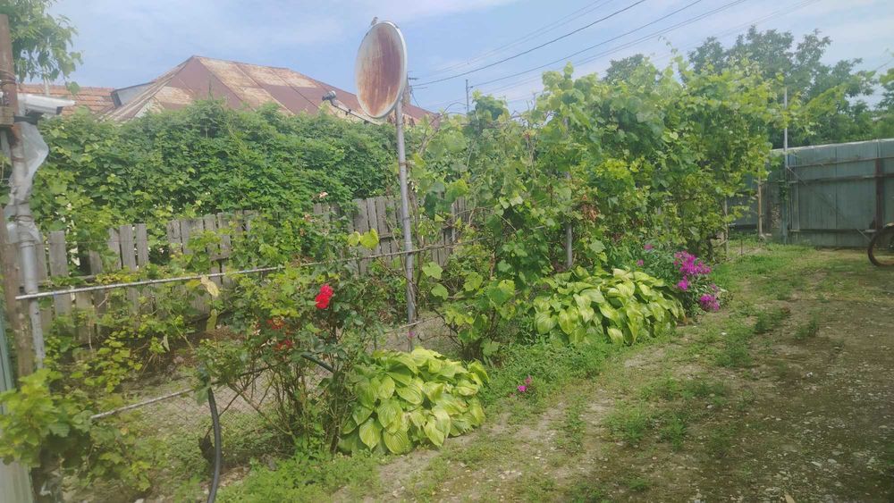 Particular casa la tara rustica 2100 mp, cu livadă, solar legume și utilitati - la aproximativ 60 km de București