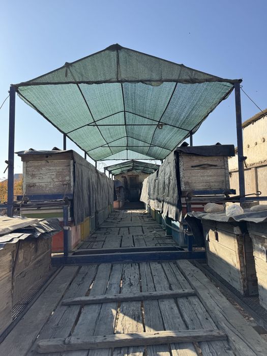 Пчелопавильон / пчелоприцеп с инвентарем