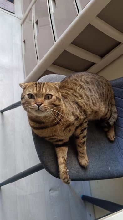 Отдам даром хорошее ручки