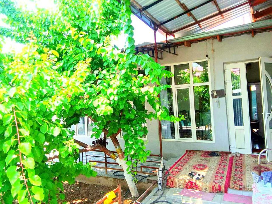 ТТЗ атрофида Ховли сотилади 4 хона 4.2 сотик ! ТТЗдан 2 км Кадирлик