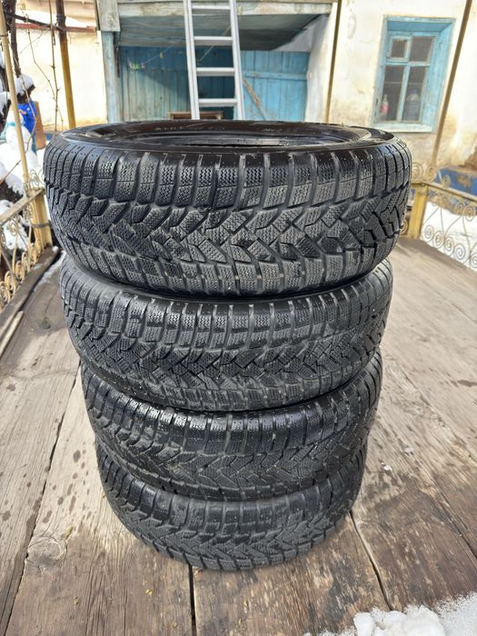 Зимние шины Nexen 195/65R15