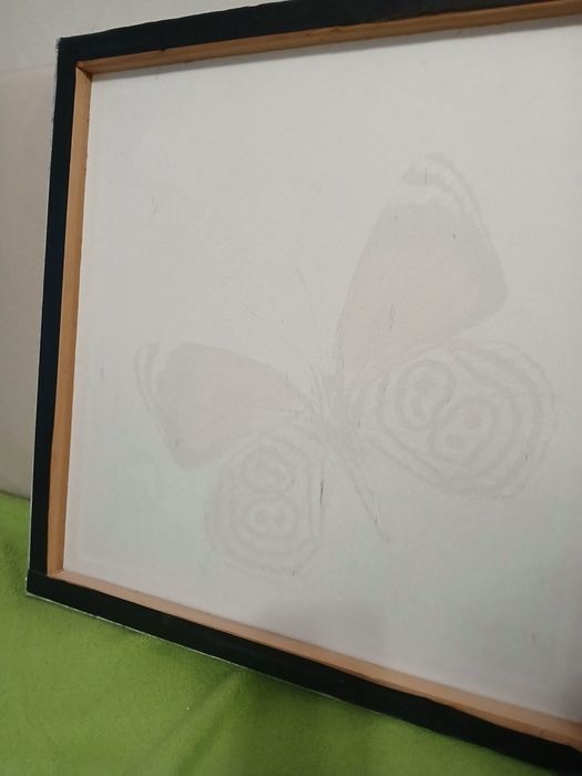 Картина с пеперуди 50/50