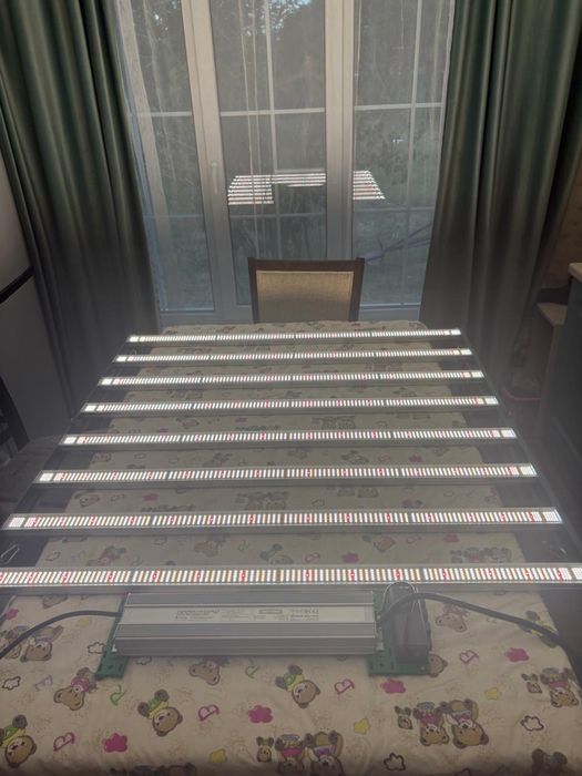 LED освещение для растений (светодиодные фитолампы)