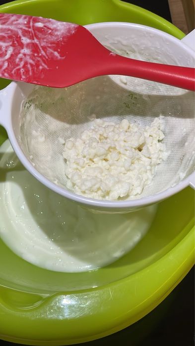 Kefir de lapte sau ciuperca tibetana