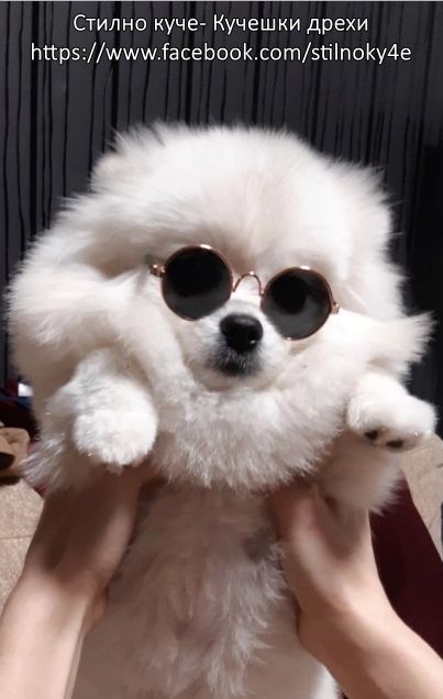 Кучешки очила-Различни разцветки Слънчеви очила за куче