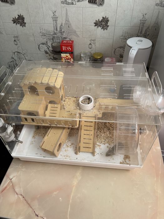 Продам хомяков с клетками