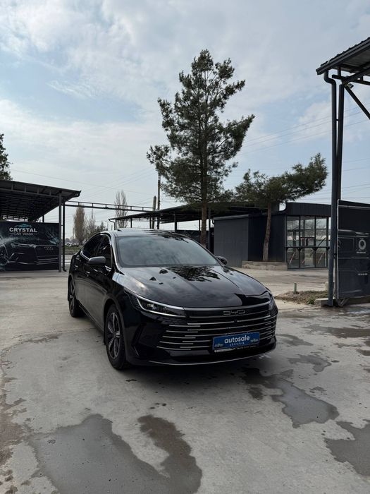 Byd Chazor 120 3 позиция