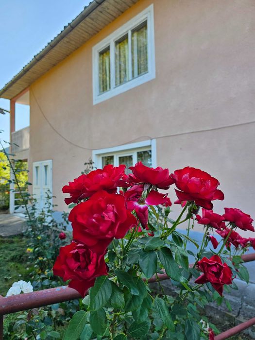 Oportunitate ! Casa mare 250m + 13 ari teren in Nasaud - Proprietar direct.
