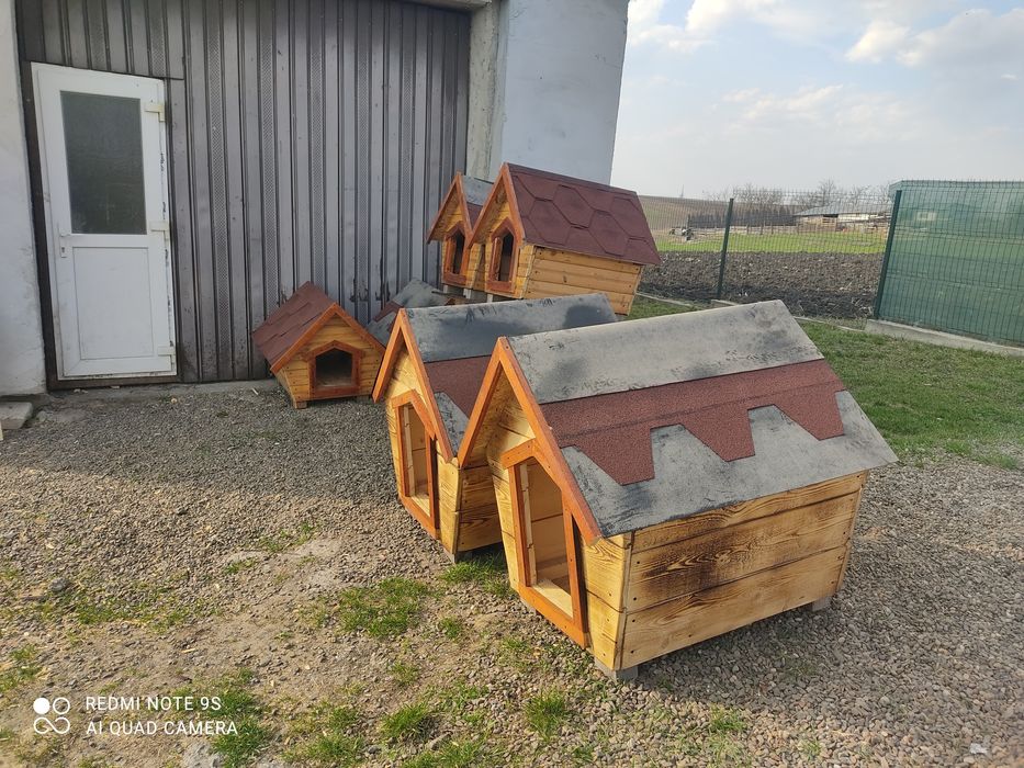 Căsuță căței / Cuști