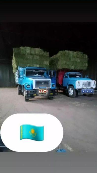 Люцерна Клевер Чистый Джея