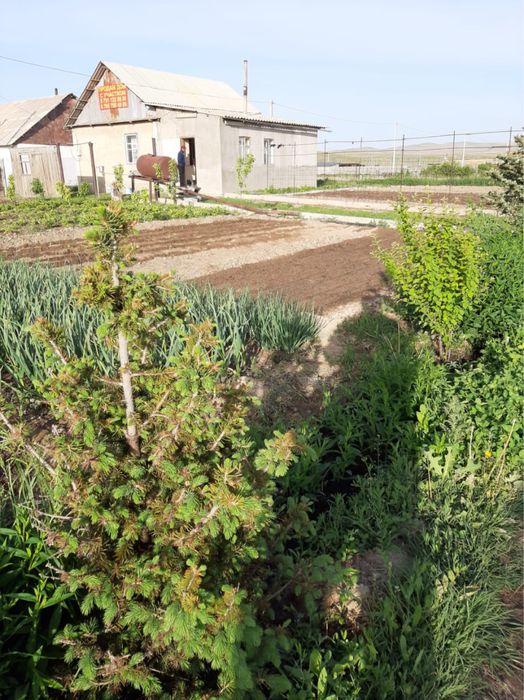 Продам дачу