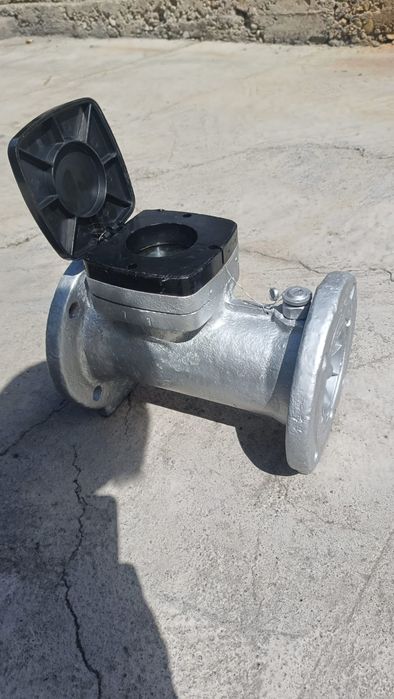 Чёчик Водиной 90000тг