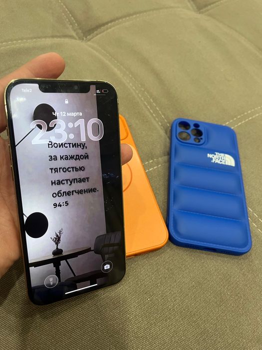 iphone 12 Pro Max 256