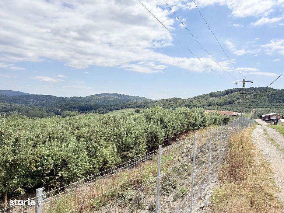 Teren intravilan 2771mp, cu livadă de meri, Breaza - Livada lui David